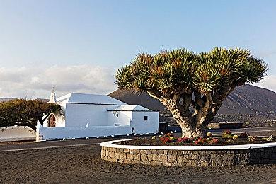 《恐惧饥荒》销量突破100万 官方发布未来更新内容预览